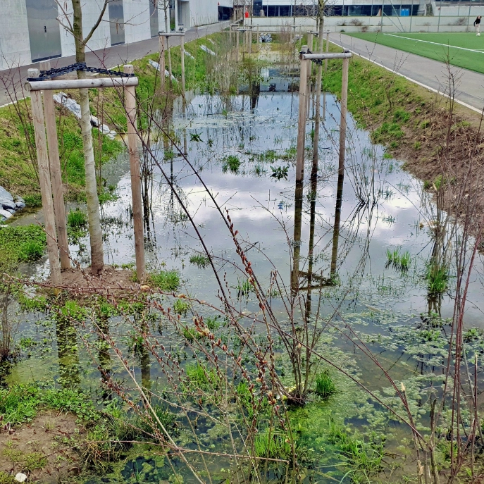 Abwasser Im Boden Versickern Lassen Der Ultimative Guide Zu In Den Boden Ableitenfeed