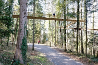 Erholung im Wald, Freizeit und Sport im Wald – auf dem Schlaufensteg in Baar kann die Natur aus einer neuen Perspektive erlebt werden.  Quelle: © 2ECK Architekten GmbH