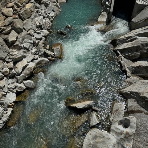 Alpenexkursion-14.jpg