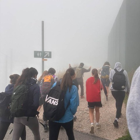 Alpenexkursion-5.jpg