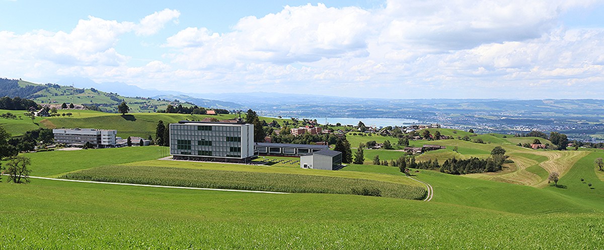 KSM - Bildung auf der Höhe