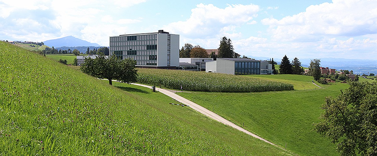 KSM - Bildung auf der Höhe