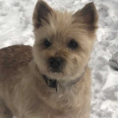 2. Platz: mael und alfie - Etwas, das frisst, auch wenn es nicht hungrig ist