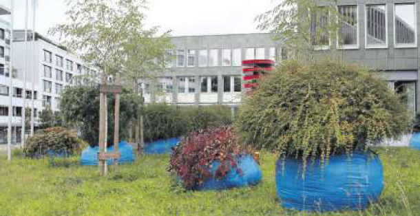 Plastiksäcke oder Kunst? Die Installation heisst «willKür» und steht vor dem kantonalen Verwaltungsgebäude an der Aa.