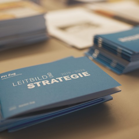 14 Neues Strategie-Booklet der PH Zug.jpg