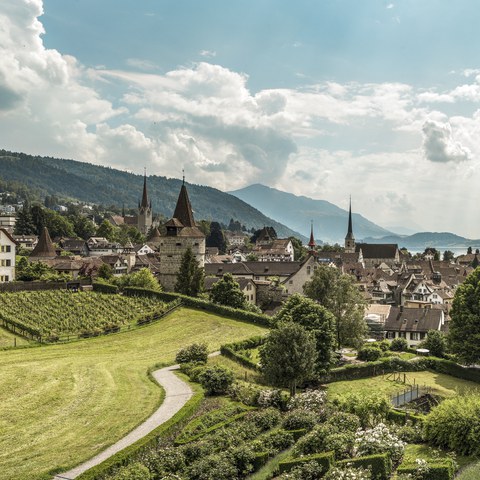 Zug Panorama © Switzerland Tourism/Markus Buehler-Rasom