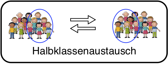 Icon für Halbklassenaustausch