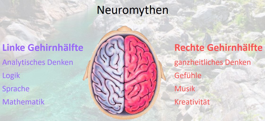 Neuromythen