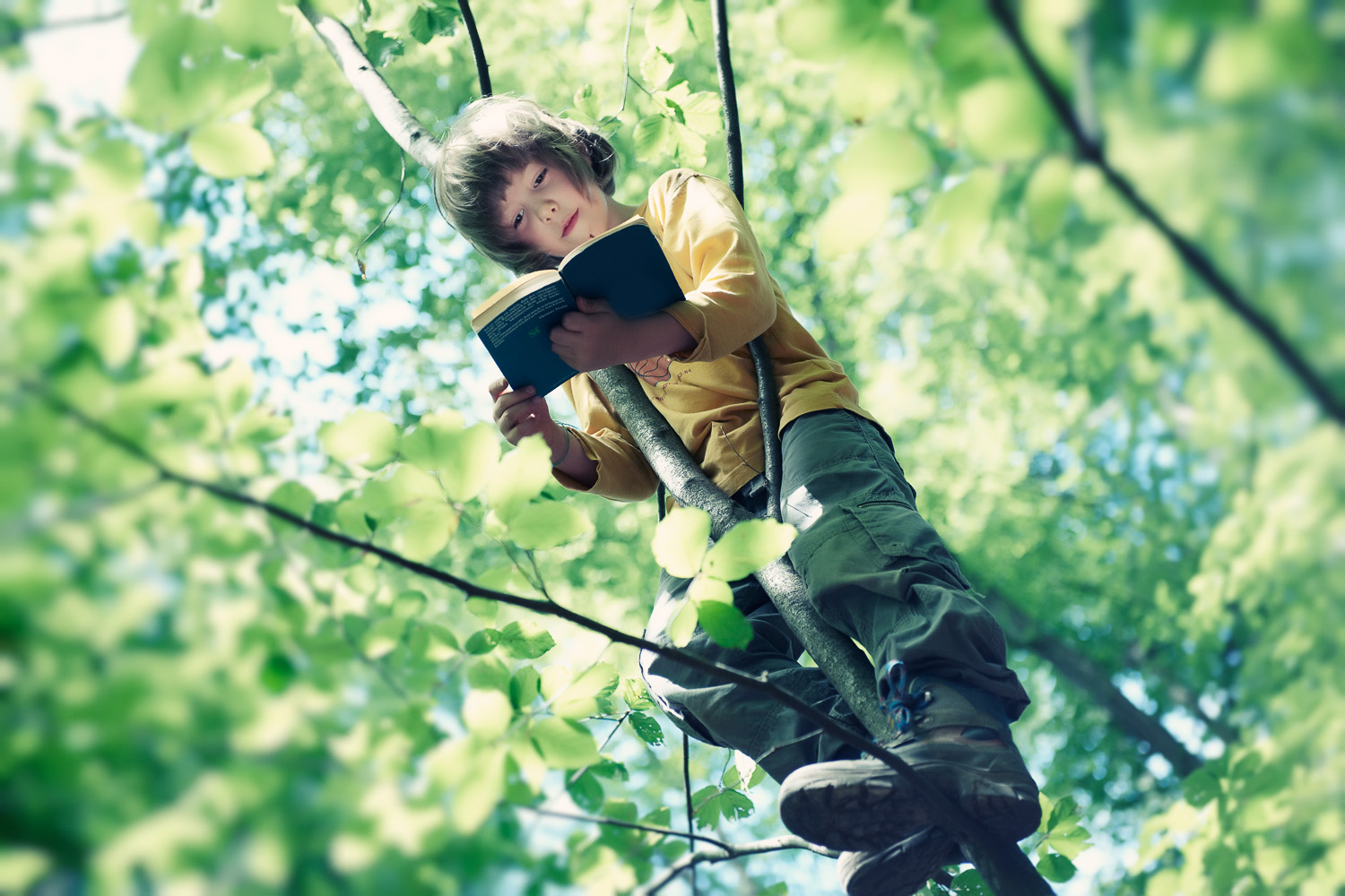 Lesen auf dem Baum