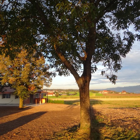 Abendstimmung am Sitzplatz