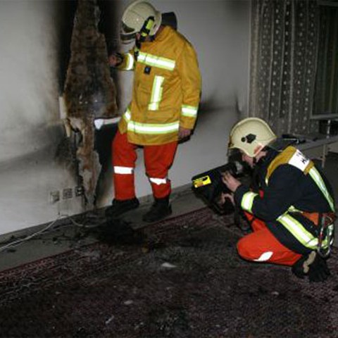 Einsatz Wartstrasse 2