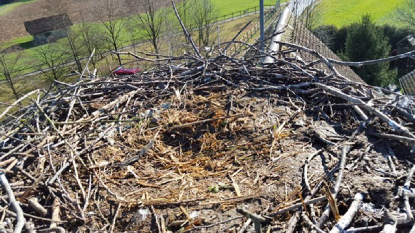 Das Nest von oben