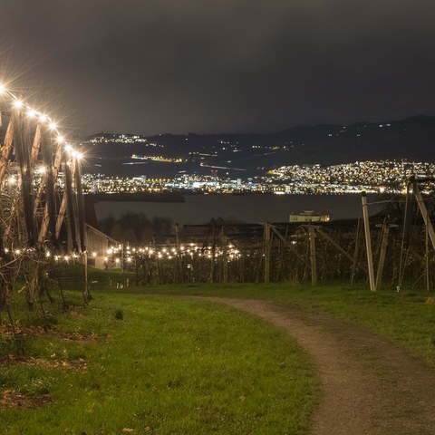 andreasbusslinger.ch, Lichterweg