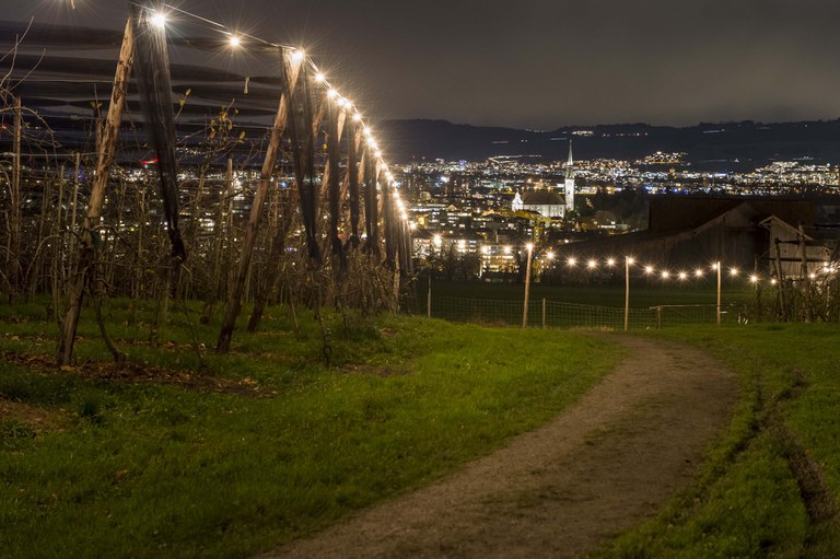 andreasbusslinger.ch, Lichterweg
