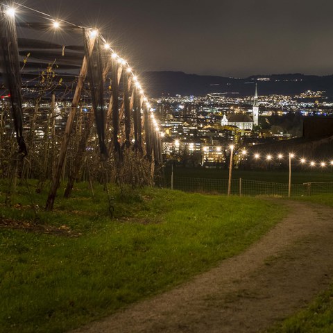 andreasbusslinger.ch, Lichterweg