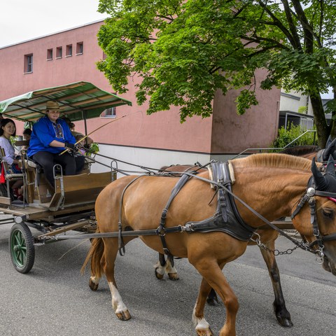 Pferdekutsche