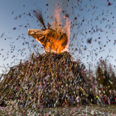 Copyright: Andreas Busslinger / Verbrennung Eichenfrässer