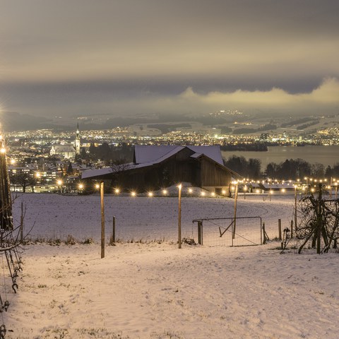 Lichterweg 2017