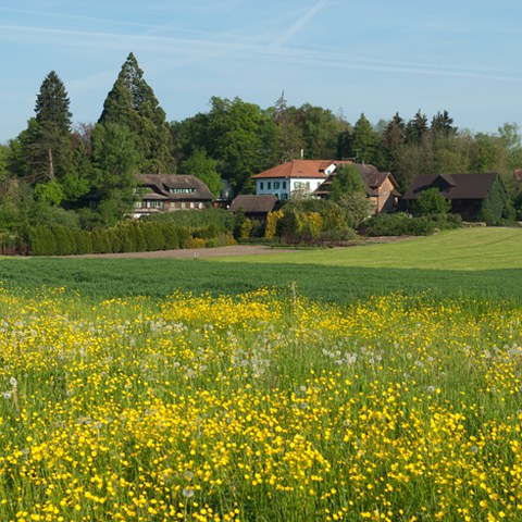 Langrüti, Photo andreasbusslinger.ch