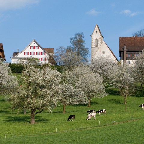 St. Wolfgang 1, Photo andreasbusslinger.ch