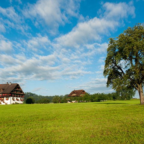 Oberbösch, Photo andreasbusslinger.ch