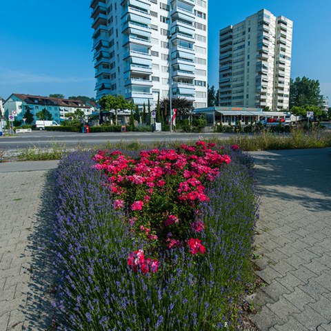 Zythus, Photo andreasbusslinger.ch