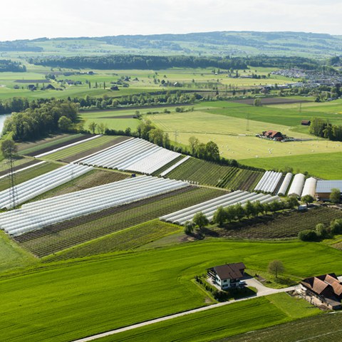 Luftbild
