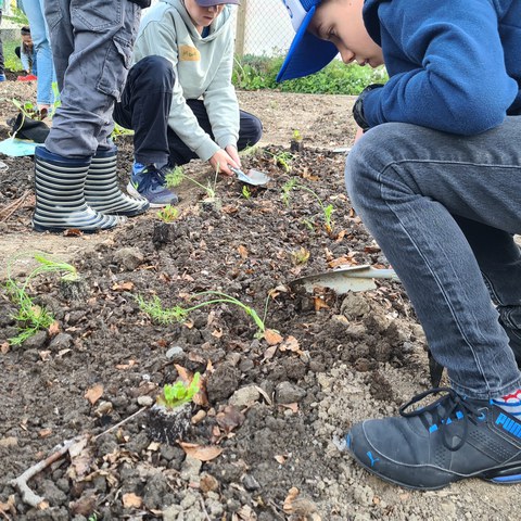 garten 3.jpg