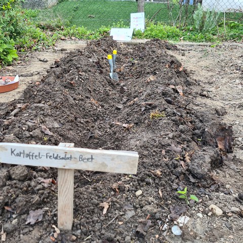 garten 4.jpg
