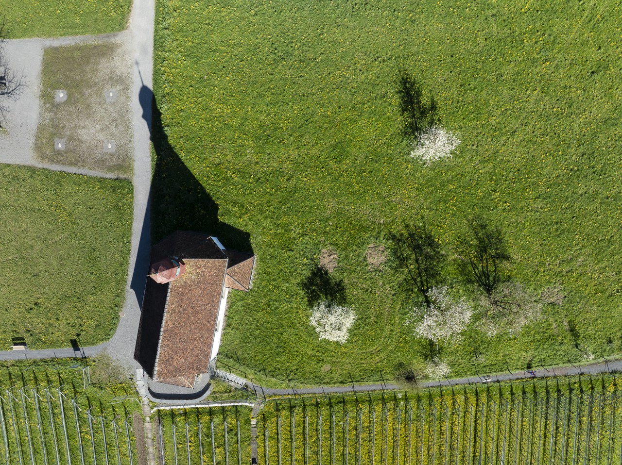 Weinrebenkapelle