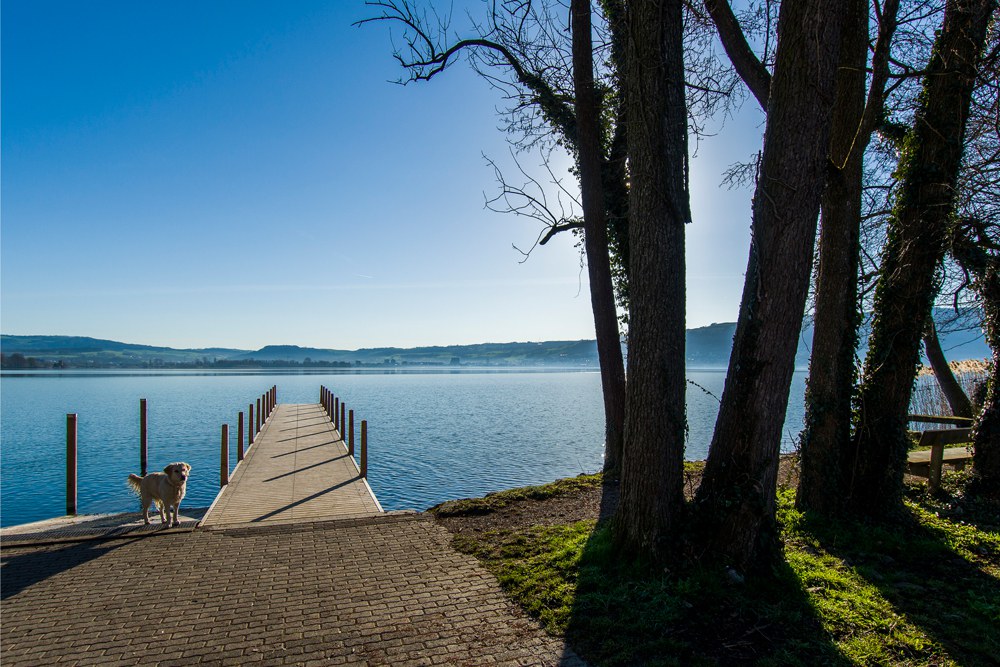 Steg beim Dersbach in Hünenberg