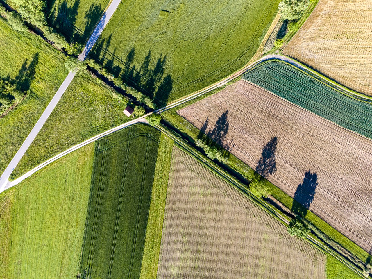 Reussebene Copyright: Andreas Busslinger