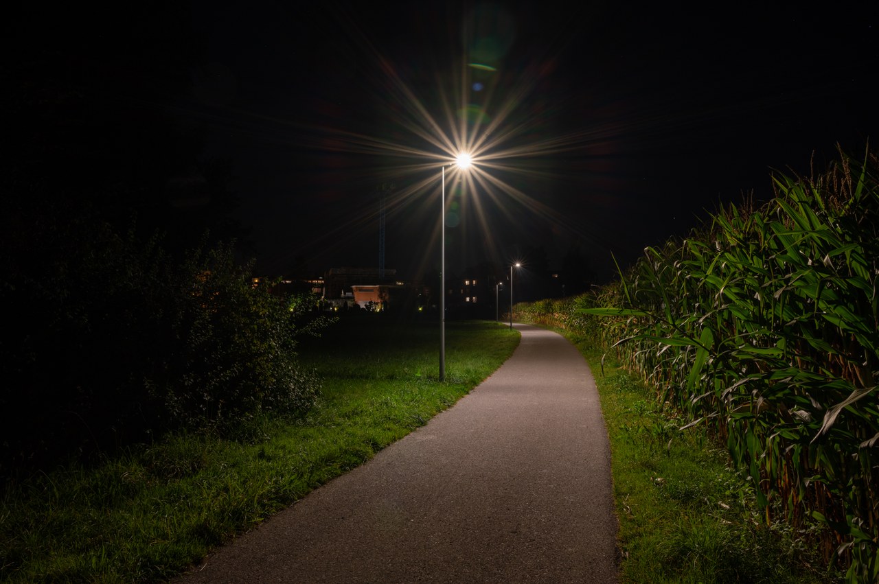 Copyright Sarah Werder