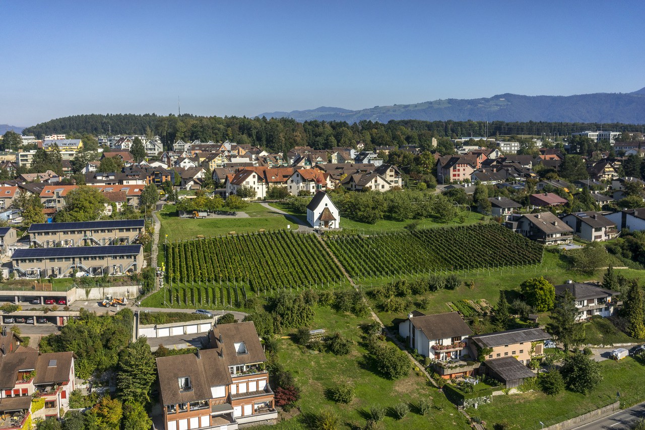 Weinreben und Weinrebenkapelle