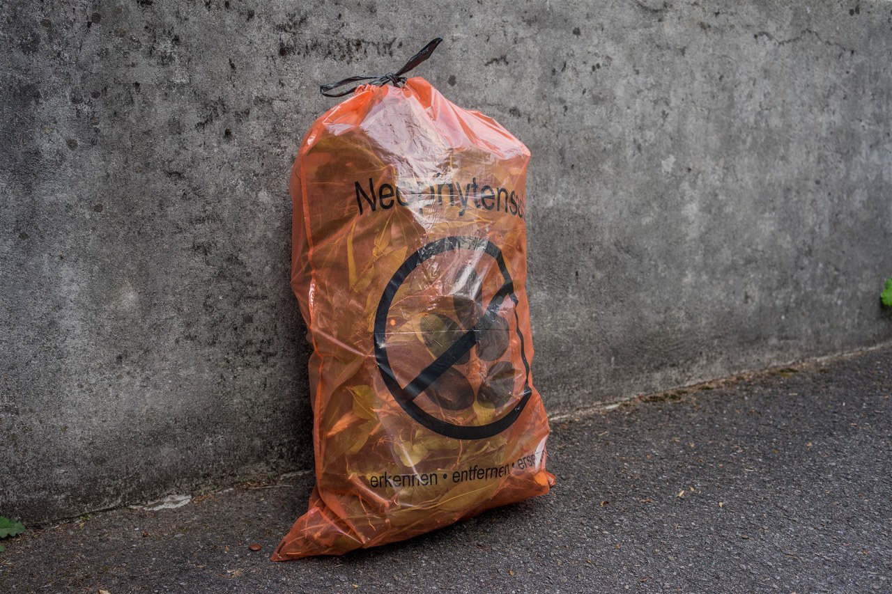 Neophytensack