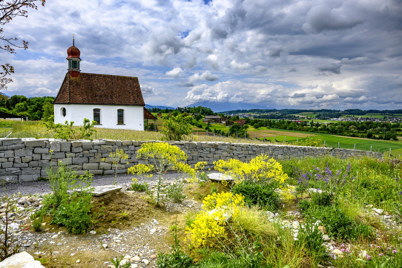 Weinrebenkapelle, Biodiversitaet, Trockenmauer