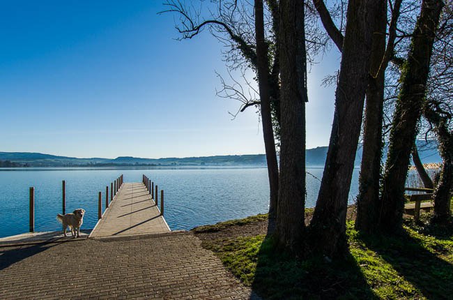 Steg im Dersbach