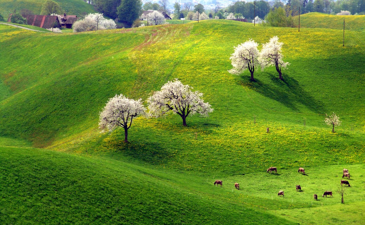 Schätzt die Natur