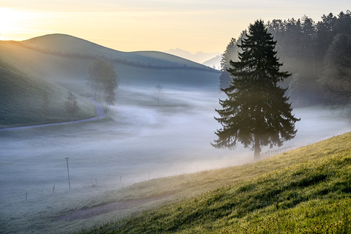 Schätzt die Natur