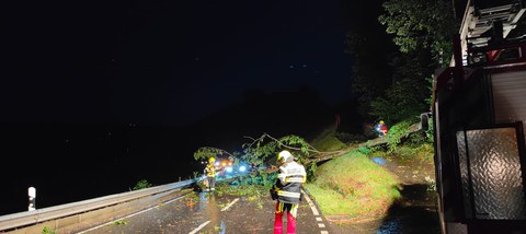 Baum blockiert Strasse