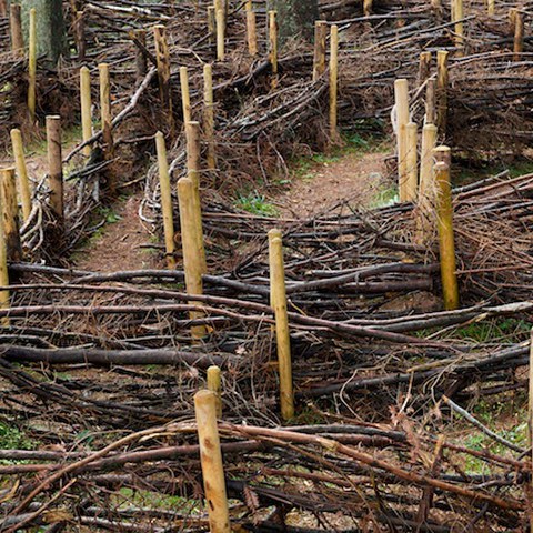 03_Das_Labyrinth_fertig_gebaut.jpg