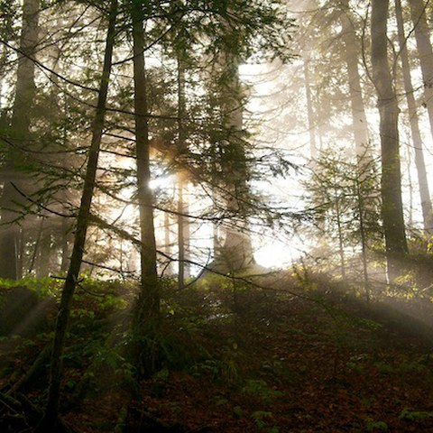 05b_Herbststimmung_auf_dem_Klimaweg.jpg