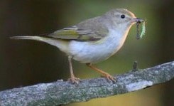 ______________________