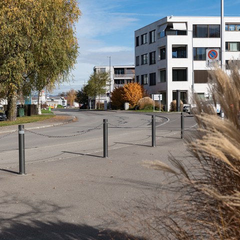 Birkenstrasse der Suurstoffi entlang