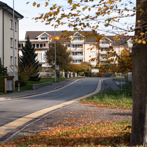 Birkenstrasse mit Quartier Sonnmatt