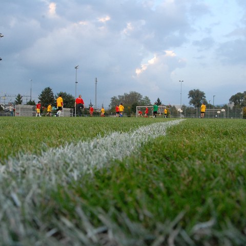 Fussballfeld Sportpark Rotkreuz