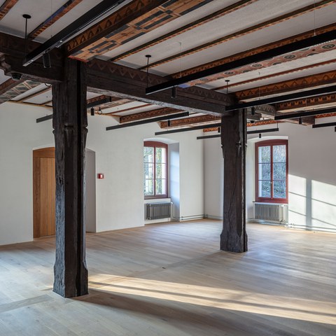 173_comettitrufferhodel_Binzmühle_7536-HDR.jpg