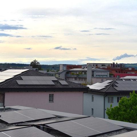 DSC_9659.JPG