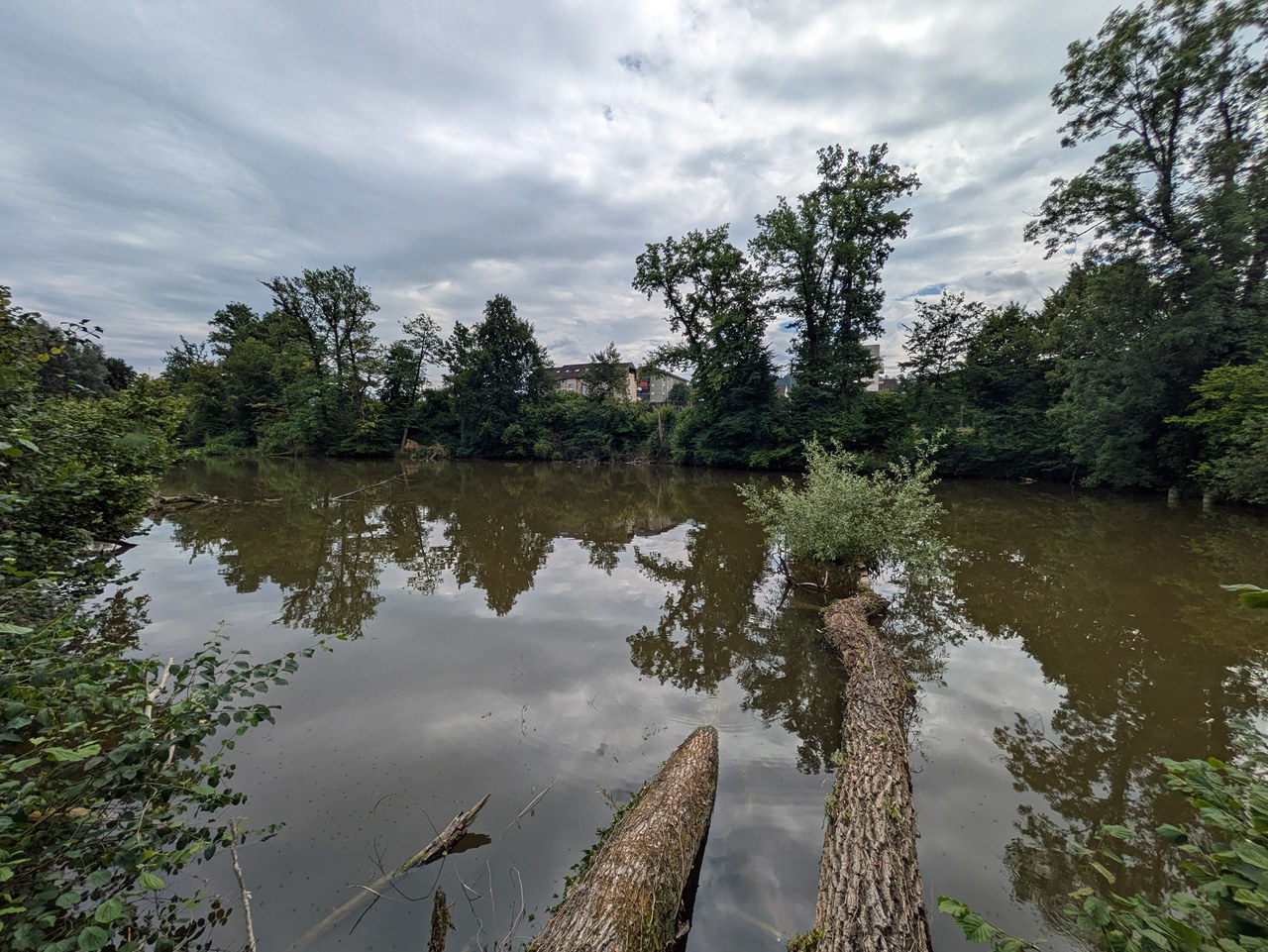 Binzmühleweiher