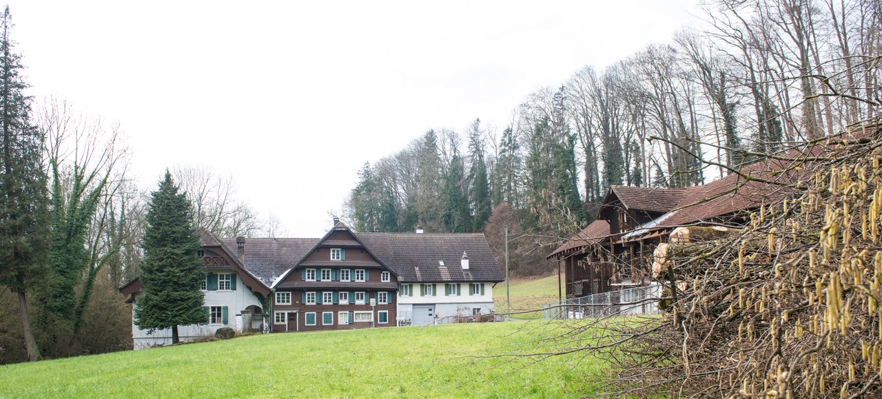Binzmühle mit (von links nach rechts) Mühlegebäude, Haupthaus und rechts davon der Remise.